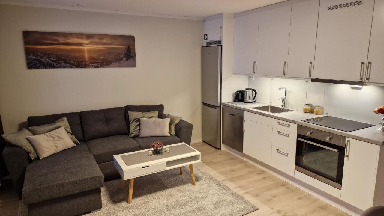 Haugetuft Apartments Amot  Екстериор снимка